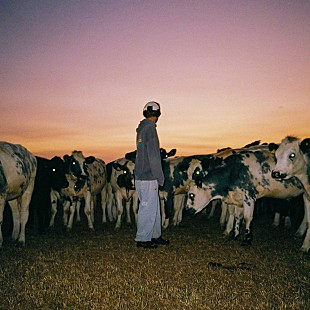 「マム・トゥーディー、メロウな新曲「Daylight Dreaming」公開」