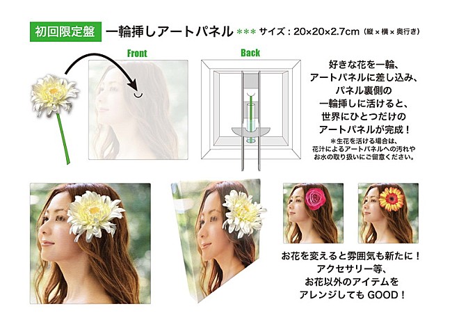 「倉木麻衣 B面ベストアルバム『Mai Kuraki B-Side BEST ～This is Our life～』
初回限定盤「一輪挿しアートパネル」」2枚目/2