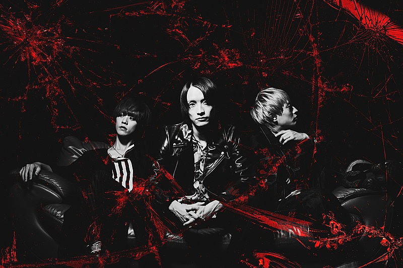 「シンガーズハイ」2枚目/2