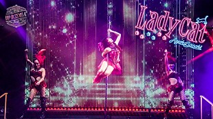 「ももクロ・佐々木彩夏、最新ライブBlu-rayより“ポールダンス”に初挑戦した「Lady Cat」映像公開」