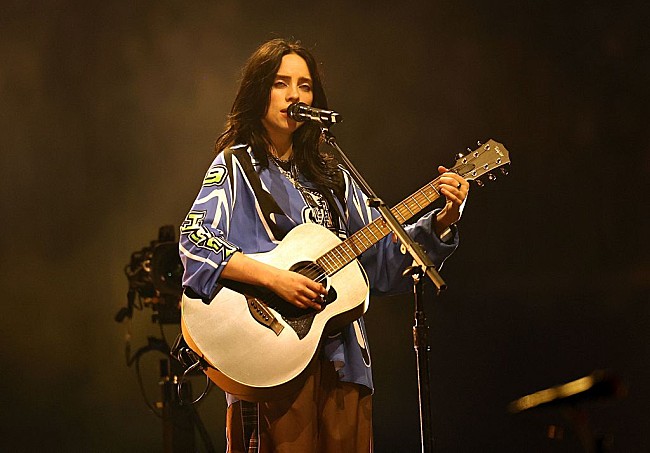 「ビリー・アイリッシュの批判を受けてイーロン・マスクが反撃「あまり頭が切れるほうじゃない」」1枚目/1