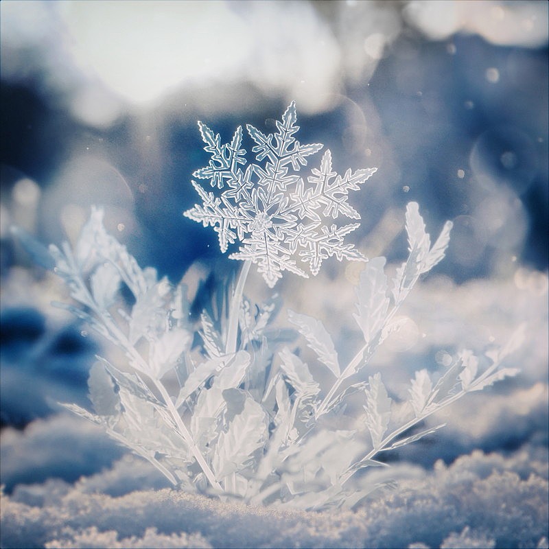 Aile The Shota、2026年にニューアルバム『REAL POP 2』リリース