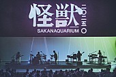 「サカナクション、全国ツアー【怪獣】映像作品化」1枚目/4