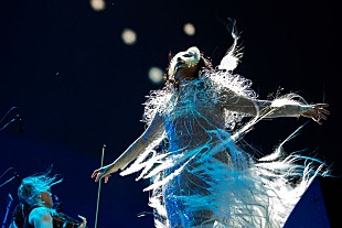 「ビョーク、米大統領の併合を望む発言を受けグリーンランドの人々に連帯のメッセージ「深い共感で胸がいっぱい」」