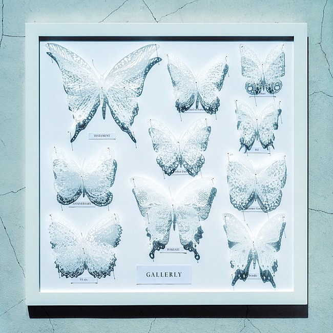 「沖聡次郎（Novelbright）、ビルボードライブ横浜単独公演に向けソロアルバム配信決定」1枚目/4