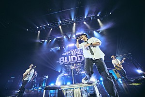 SPYAIR、ニューアルバム『RE-BIRTH』3月リリース | Daily News