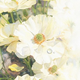 「Novelbright、“儚い恋”を歌ったウィンターバラード「アネモネ」配信＆オーディオ映像公開」