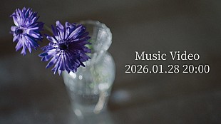 「Novelbright、新曲「アネモネ」MVプレミア公開決定　ティザー映像には寺本莉緒の姿が」