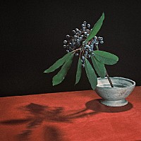 川谷絵音が新レーベルを設立、indigo la Endのニューアルバム発売