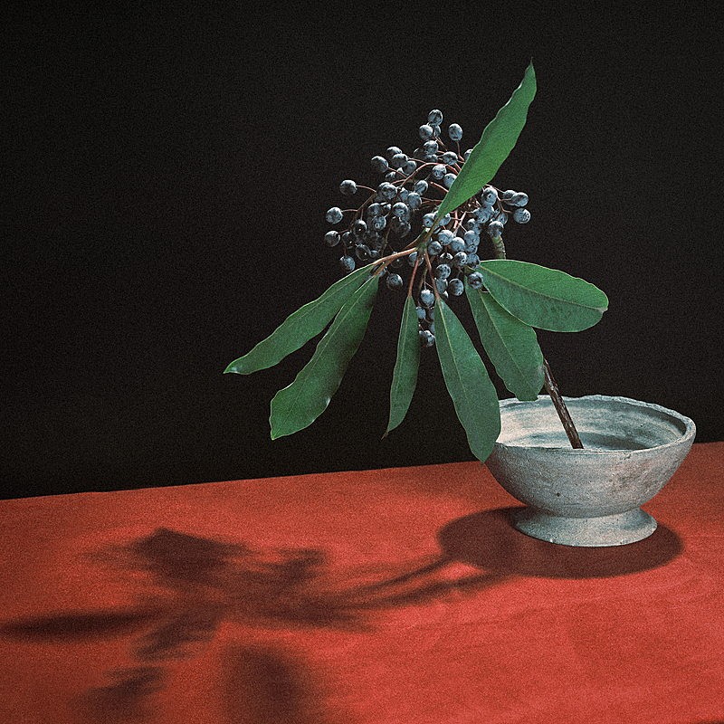 「indigo la End 配信シングル「カグラ」」4枚目/8