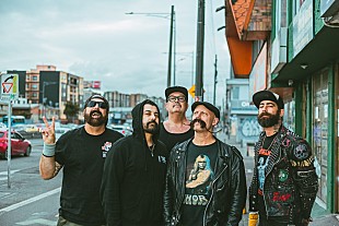 「ゼブラヘッド、通算9回目のサマソニ出演へ向けてカウントダウン・シングル企画始動」