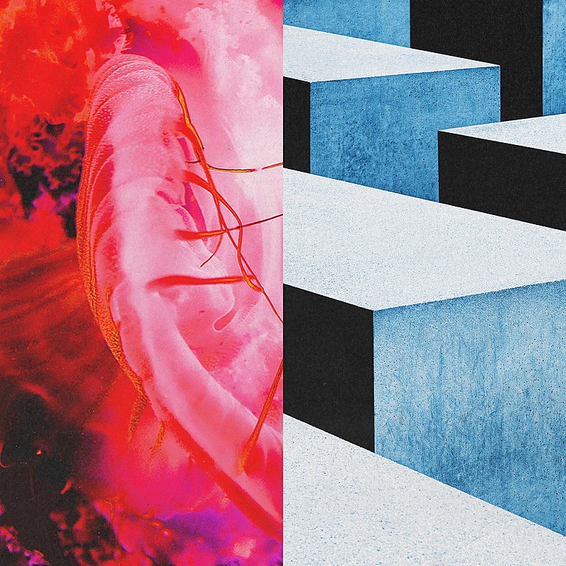 「キタニタツヤ feat. BABYMETAL シングル『かすかなはな』通常盤」4枚目/4