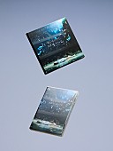 「TOY&amp;#039;S STORE限定盤（完全生産限定盤） / 通常盤」2枚目/13