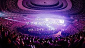 「櫻坂46、未公開ライブ映像YouTubeプレミア公開決定」1枚目/2