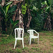 「【米ビルボード・アルバム・チャート】バッド・バニー最新AL首位返り咲き、ブレント・ファイヤズ／チャーリーxcxがTOP10デビュー」1枚目/1