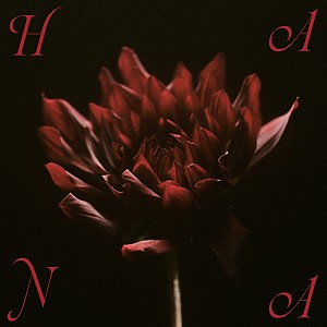 HANA「【先ヨミ・デジタル】HANA1stアルバム『HANA』DLアルバム首位独走中　LUNA SEAが急浮上」