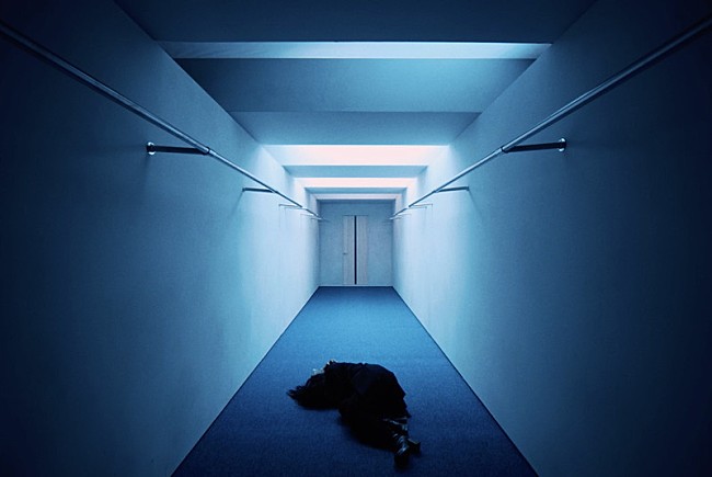 「『【Ado】ビバリウム』」4枚目/13