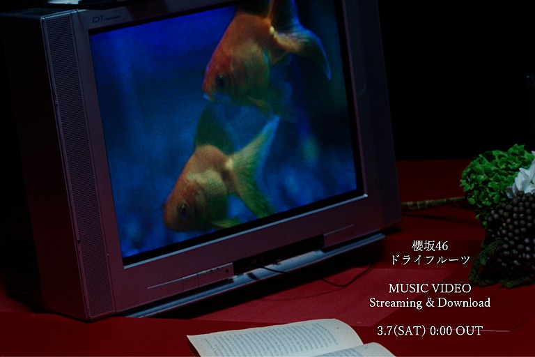 櫻坂46「櫻坂46、BACKSメンバーによる新曲「ドライフルーツ」先行配信&MV公開へ」