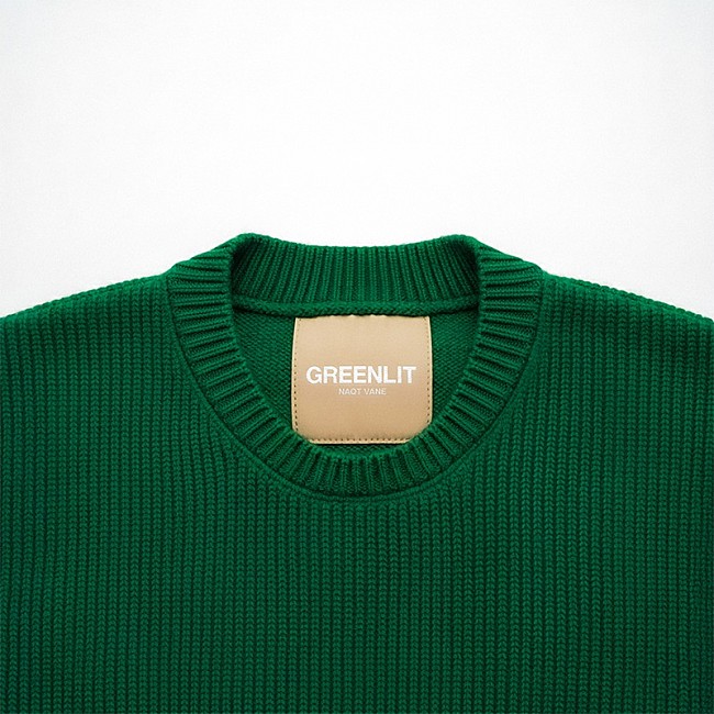 「NAQT VANE、パフォーマー加入後初シングル「GREENLIT」パフォーマンスビデオを公開」1枚目/1