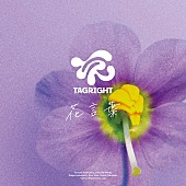 「TAGRIGHT 配信シングル「花言葉」」3枚目/3