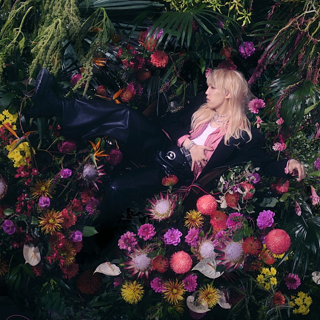 「Aile The Shota×ダンスイベントを手がけるRaySTAが共同主催、イベント【OMEN】第3回公演が7月開催」1枚目/2