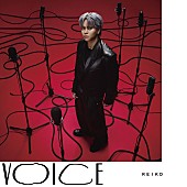 「REIKO EP『VOICE』REIKO&amp;#039;s Winterland盤」3枚目/4