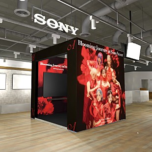 「HANAのデビュー1周年記念、全国のソニーストアにて特別イベント開催」