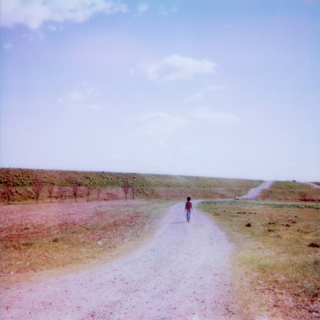 「とた 配信シングル「鳳仙花」」2枚目/2