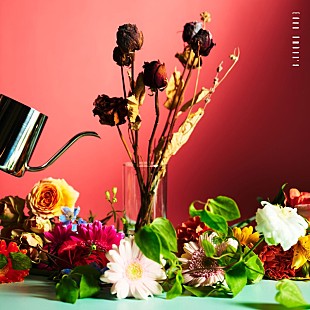 「Amber's、ドラマ『水曜日、私の夫に抱かれてください』OPテーマ「エデン」配信リリース＆MV公開」