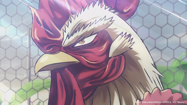 「(c)Shu Sakuratani/Kino-HERO’s, VIZ Media」3枚目/6