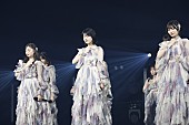 「乃木坂46 日本大学サプライズ出演 ライブ写真」7枚目/19