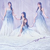 「乃木坂46 シングル『最後に階段を駆け上がったのはいつだ？』初回仕様限定盤TYPE-D」17枚目/19