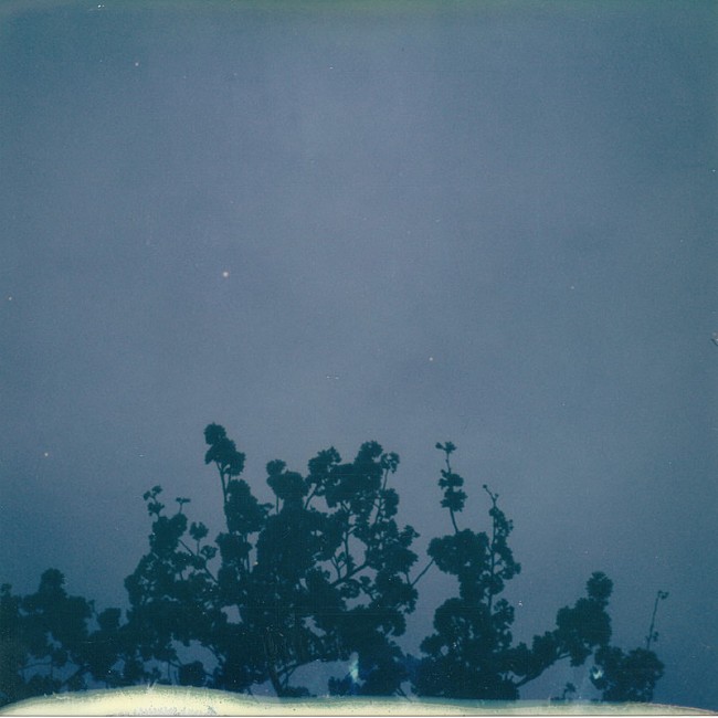 「君島大空 アルバム『花落知多少』」2枚目/3