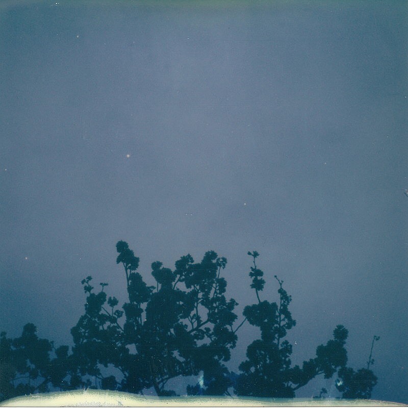 「君島大空 アルバム『花落知多少』」2枚目/3