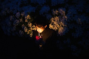 君島大空、ニューアルバム『花落知多少』6月リリース＆独奏ツアーへ