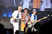 「TUBE ライブ写真」5枚目/7