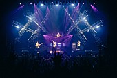 「【SPYAIR TOUR 2026 -RE-BIRTH -】ライブ写真」2枚目/4