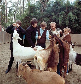 「ビーチ・ボーイズ名盤『ペット・サウンズ』全米ダブル・プラチナ認定、サンディエゴ動物園とのコラボ動画公開」