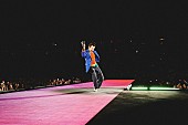 「ハリー・スタイルズ、ライブでパレスチナの人々への支持を示す」1枚目/1