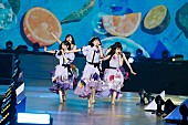 「」15枚目/24