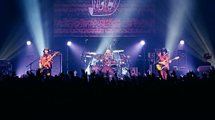 「NEE、Zepp DiverCity公演より「ハートブレイカー」ライブ映像を公開」