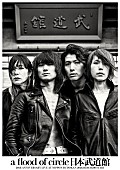 「a flood of circle、20周年記念ベストアルバム『革命未遂の蝶が見る夢』8月リリース」1枚目/1