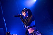 「」15枚目/44