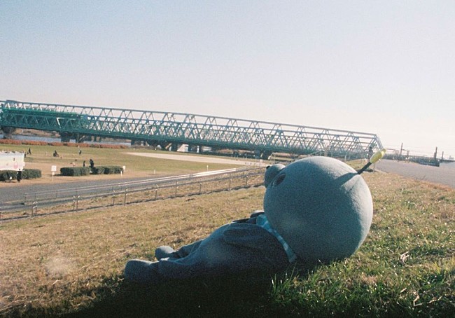 「(C)MNS

#タマ写真集」3枚目/7