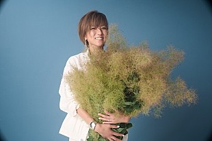 「hitomi、ドラマ主題歌となっている新曲「Tokey-Dokey」MV公開」