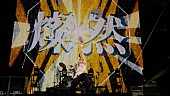 「SUPER BEAVER、ニューアルバム『人生』初回盤収録のライブ映像より「燦然」をYouTube公開」1枚目/2