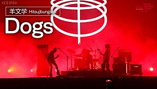 「羊文学、【MUSIC AWARDS JAPAN 2026】で2部門受賞＆全国ホールツアー開催決定」