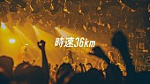 「時速36km、チケット即完となった渋谷CLUB QUATTROワンマンより「七月七日通り」ライブ映像を公開」1枚目/1