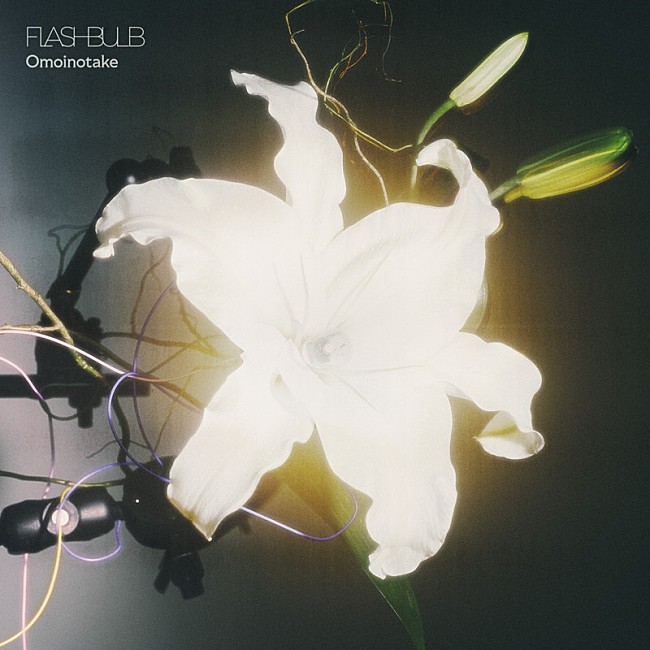 「Omoinotake 配信シングル「FLASHBULB」」3枚目/4