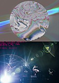 「DVD_ FINALBLOCK」2枚目/12